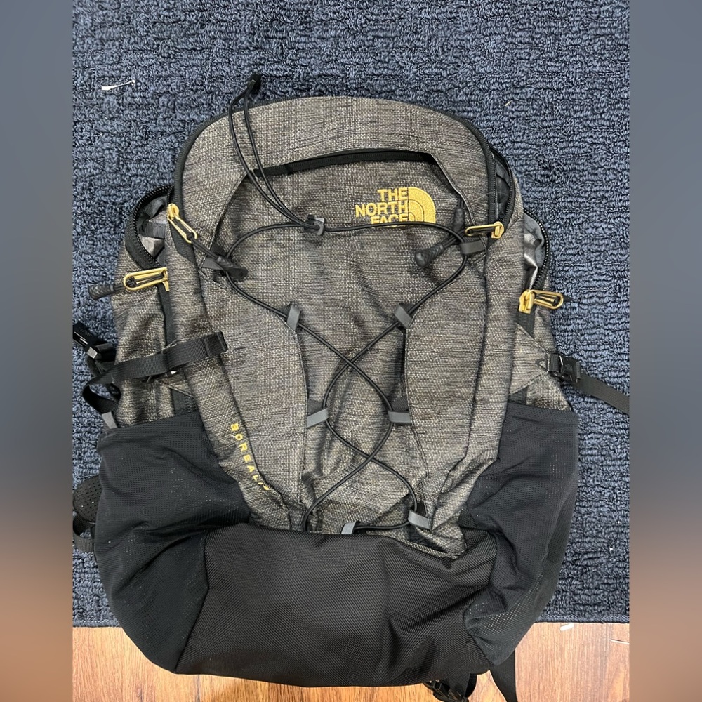 The Northface Borealis backpack
